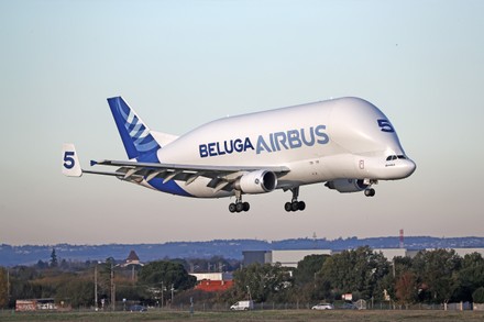 Airbus A300608st Beluga Operated By Airbus Editorial Stock Photo ...