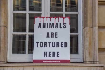 Placard Which States Animals Tortured Here Editorial Stock Photo