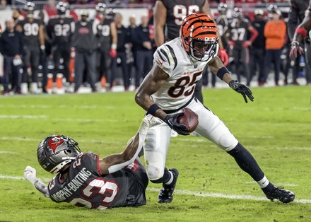 Cincinnati United States 26th Dec 2021 Cincinnati Bengals wide receiver Tee  Higgins 85 celebrates his touchdown catch against the Baltimore Ravens  during the second half of play at Paul Brown Stadium in