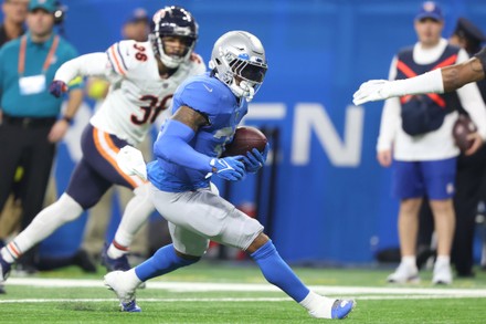 Detroit Lions Tight End Shane Zylstra Editorial Stock Photo - Stock