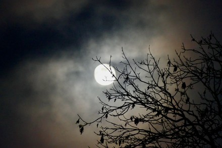 Waxing Gibbous Moon Visible Dusk Sky Editorial Stock Photo - Stock ...