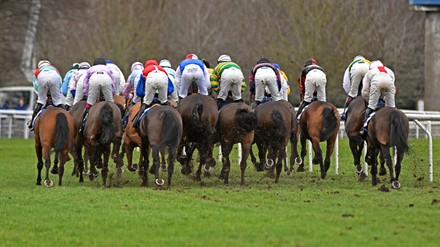 kempton park races Stock Photos (Exclusive) | Shutterstock