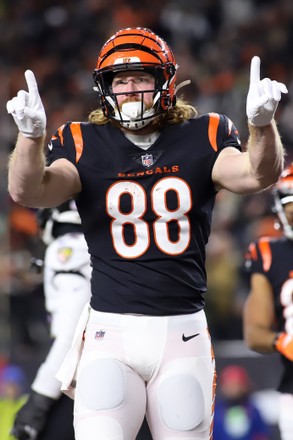 HAYDEN HURST 8X10 PHOTO CINCINNATI BENGALS PICTURE NFL FOOTBALL