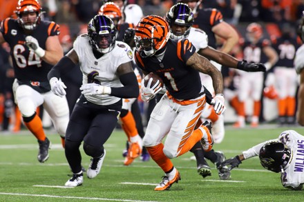 January 15, 2023: Cincinnati Bengals LB Akeem Davis-Gaither (59) celebrates  a tackle with teammate Tre Flowers (33) during an NFL wild card playoff  football game between the Cincinnati Bengals and the Baltimore