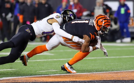 Cincinnati Bengals Lb Akeem Davisgaither 59 Editorial Stock Photo - Stock  Image