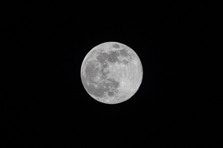 91 2023 Wolf Moon Stock Pictures, Editorial Images And Stock Photos 