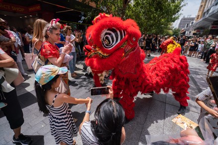 chinese new year adelaide restaurants