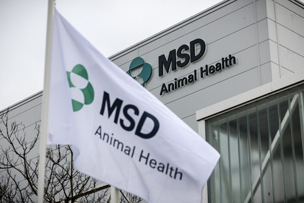 Boxmeer Logo Msd Animal Health De Editorial Stock Photo - Stock Image 