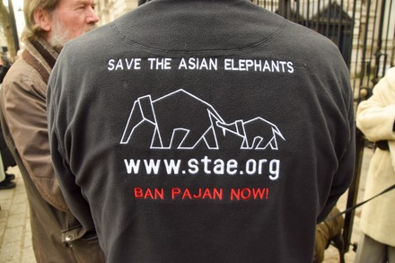 Activist Wears Stae Ban Pajan Now Editorial Stock Photo - Stock Image