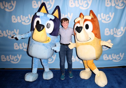 bluey dolby los angeles Stock Photos (Exclusive) | Shutterstock