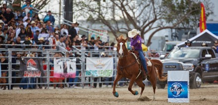 74th Annual Homestead Championship Rodeo Presented Editorial Stock ...