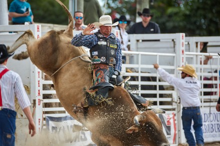 74th Annual Homestead Championship Rodeo Presented Editorial Stock ...