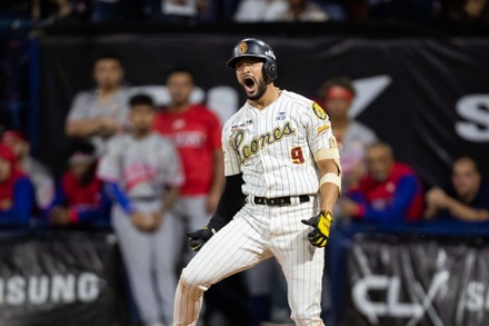 Leones Del Caracas Player Jose Rondon Editorial Stock Photo - Stock ...