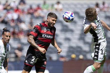 Brandon Borrello Western Sydney Wanderers Heads Editorial Stock Photo ...