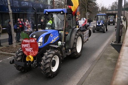 __COUNT__ Brussels Comeos Action Fruit Producers, Brussels, Belgium ...