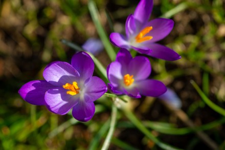 54 Seasonal Weather, Warm Sunshine, Stubbings, Maidenhead, Berkshire ...