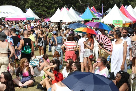 mardi gras fair day