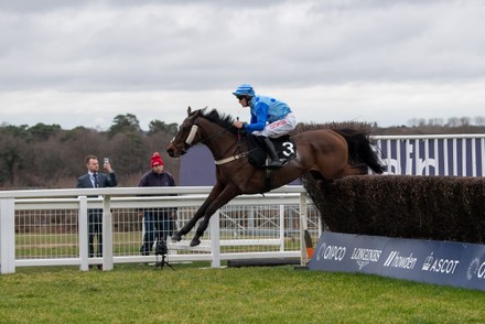 Jockey Philip Armson On Horse Neon Editorial Stock Photo - Stock Image ...