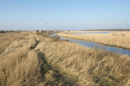 Lauwersmmeer National Park Frieland Province Netherlands Editorial 