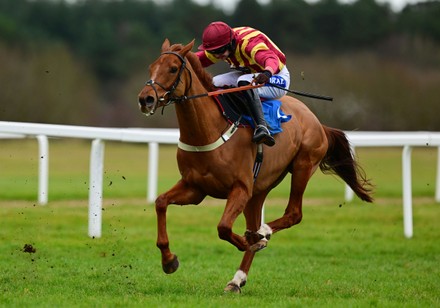 exeter races Stock Photos (Exclusive) | Shutterstock