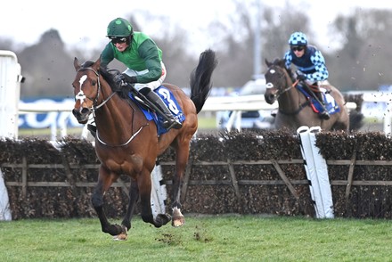 kempton park races Stock Photos (Exclusive) | Shutterstock