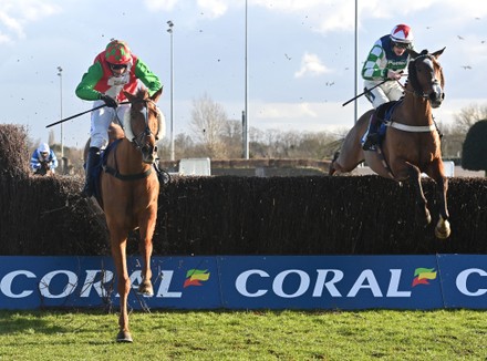 Kempton Park Races Stock Photos Exclusive Shutterstock   Shutterstock 13781409n 