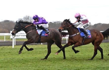 kempton park races Stock Photos (Exclusive) | Shutterstock