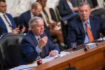 Ranking Member Lindsey Graham Questions Us Editorial Stock Photo ...