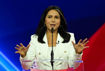 1,000 Tulsi gabbard Stock Pictures, Editorial Images and Stock Photos ...