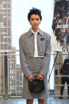 Jasmin Savoy Brown Editorial Stock Photo - Stock Image | Shutterstock