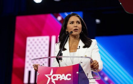 1,000 Tulsi gabbard Stock Pictures, Editorial Images and Stock Photos ...