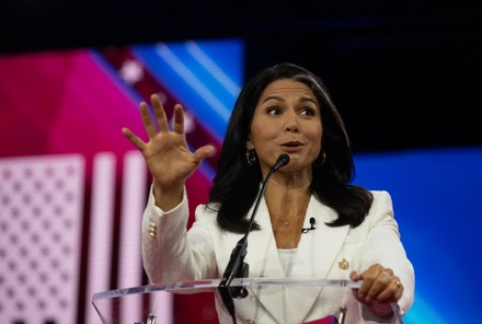 1,000 Tulsi gabbard Stock Pictures, Editorial Images and Stock Photos ...