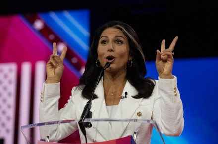 1,000 Tulsi gabbard Stock Pictures, Editorial Images and Stock Photos ...