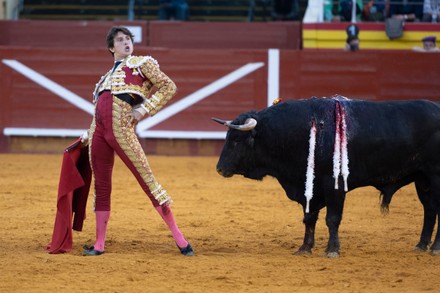 Peruvian Bullfighter Andres Roca Rey Fights Editorial Stock Photo