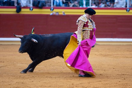 Peruvian Bullfighter Andres Roca Rey Fights Editorial Stock Photo