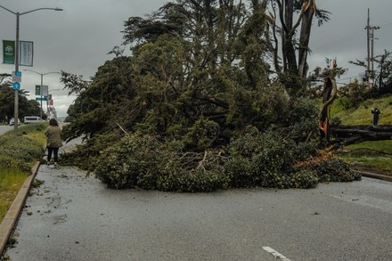 Is the tsunami going to hit san francisco