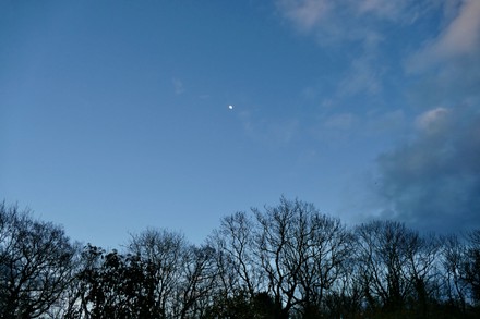 Waxing Gibbous Moon Visible Golden Hour Editorial Stock Photo - Stock ...