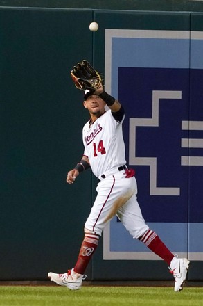 Washington Nationals Left Fielder Ildemaro Vargas Editorial Stock Photo ...