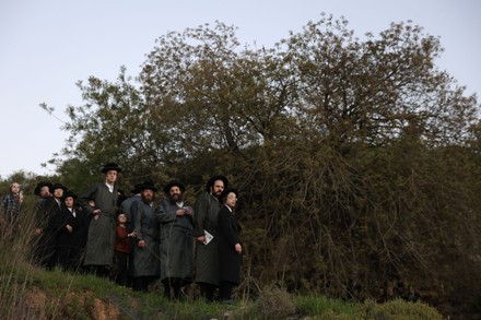 Ultraorthodox Jews Collect Water Mountain Spring Editorial Stock Photo ...