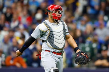 St Louis Cardinals Catcher Willson Contreras Editorial Stock Photo - Stock  Image