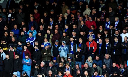 Ipswich Town Fans Watch Match Stand Editorial Stock Photo - Stock Image ...