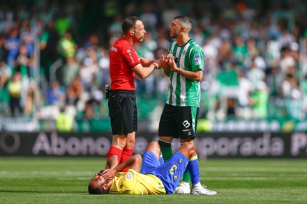 Referee Guillermo Cuadra Fernandez Rafael Jimenez Editorial Stock Photo ...