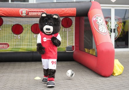 Rotherham United Mascot Miller Bear Editorial Stock Photo - Stock Image ...