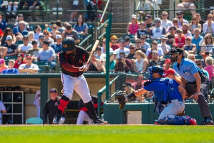 Buffalo Bisons Infielder Tanner Morris 51 Editorial Stock Photo - Stock  Image