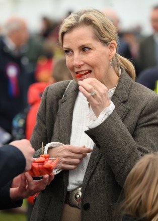 Sophie Duchess Edinburgh Editorial Stock Photo - Stock Image Shutterstock