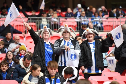Brighton Fans Soak Atmosphere Before Emirates Editorial Stock Photo