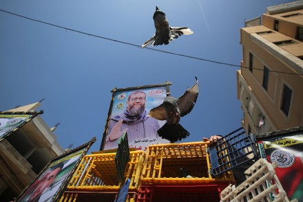 500 Palestine israel conflict 2023 Stock Pictures, Editorial Images and