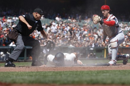 St Louis Cardinals Catcher Andrew Knizner Editorial Stock Photo - Stock  Image