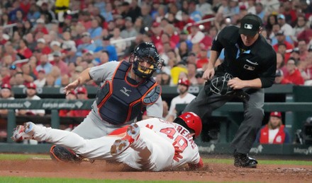 St Louis Cardinals Catcher Willson Contreras Editorial Stock Photo - Stock  Image