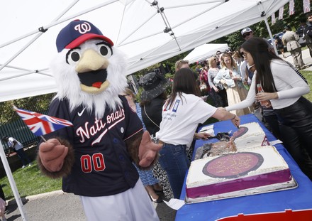 Screech Washington Nationals Mascot Editorial Stock Photo - Image